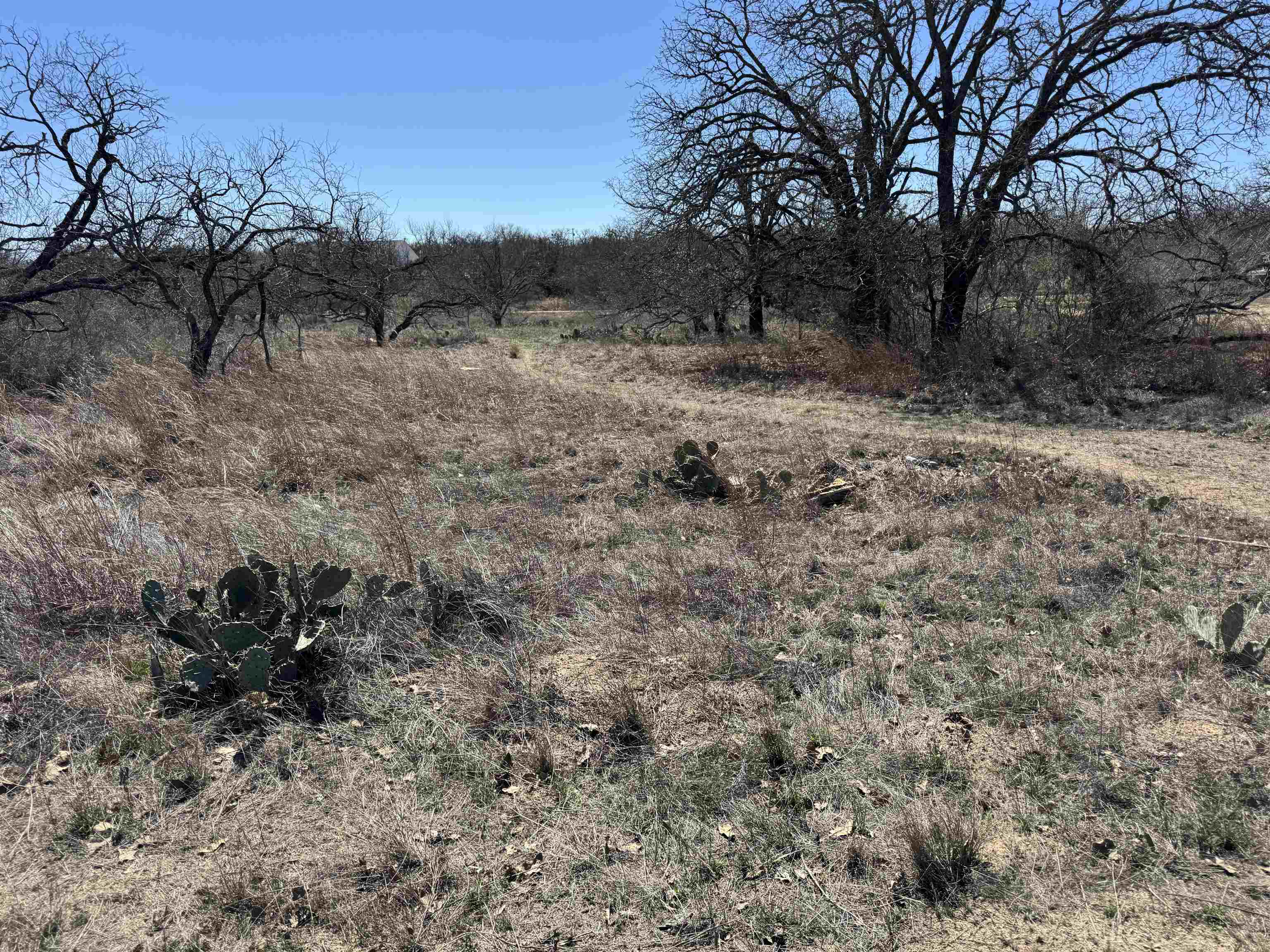 Lot 103 Ridgemont Kingsland, TX 78639 - Photo 2 of 9 a view of a dry field with trees