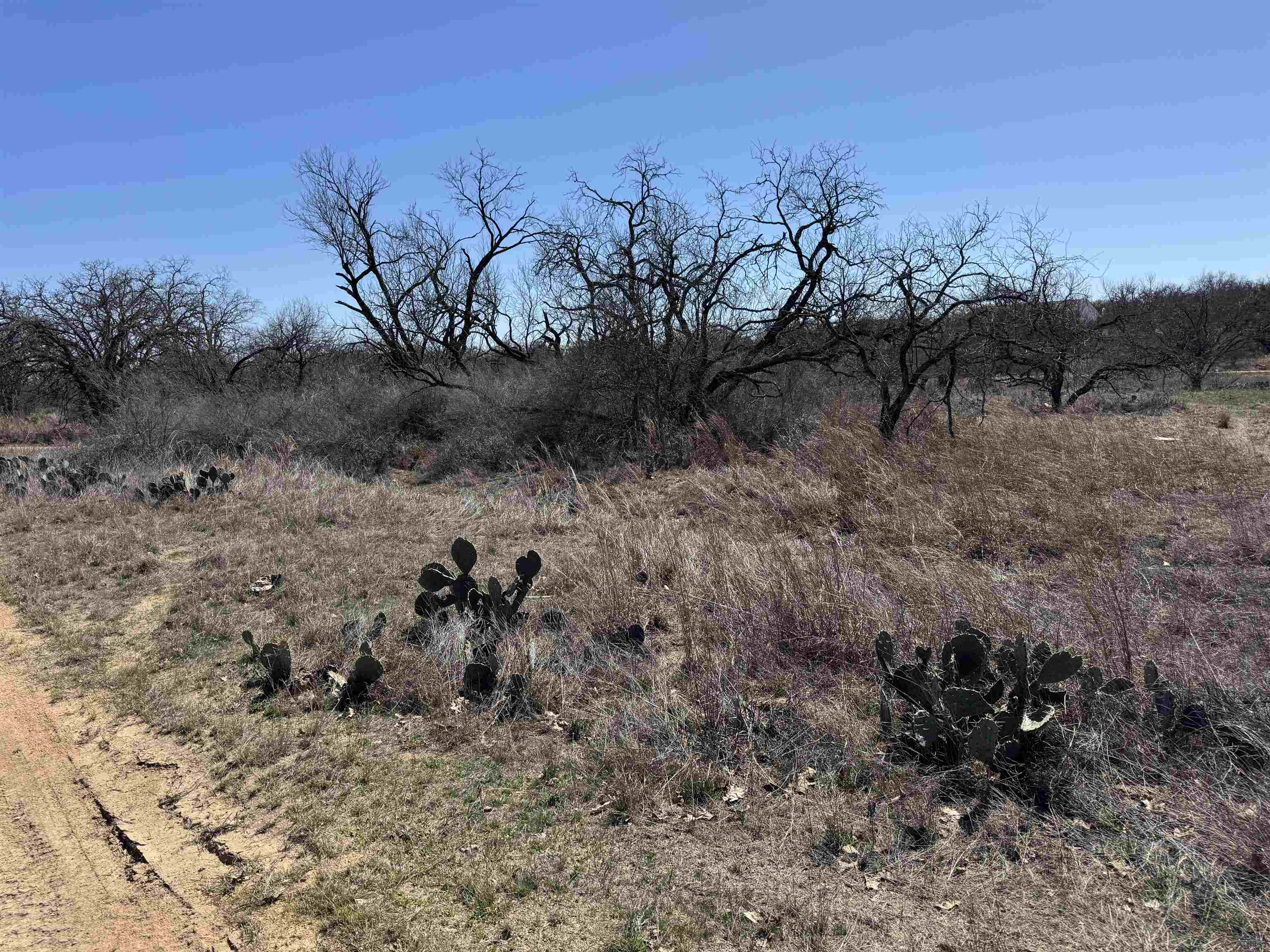 Lot 103 Ridgemont Kingsland, TX 78639 - Photo 3 of 9 a view of a dry field