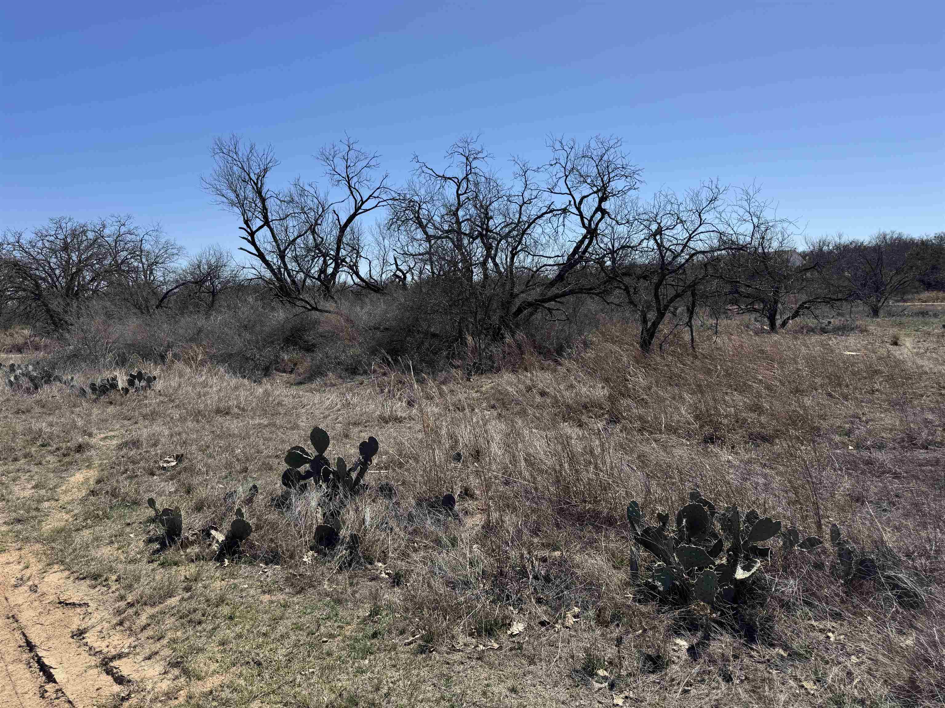 Lot 103 Ridgemont Kingsland, TX 78639 - Photo 4 of 9 a view of a dry top yard
