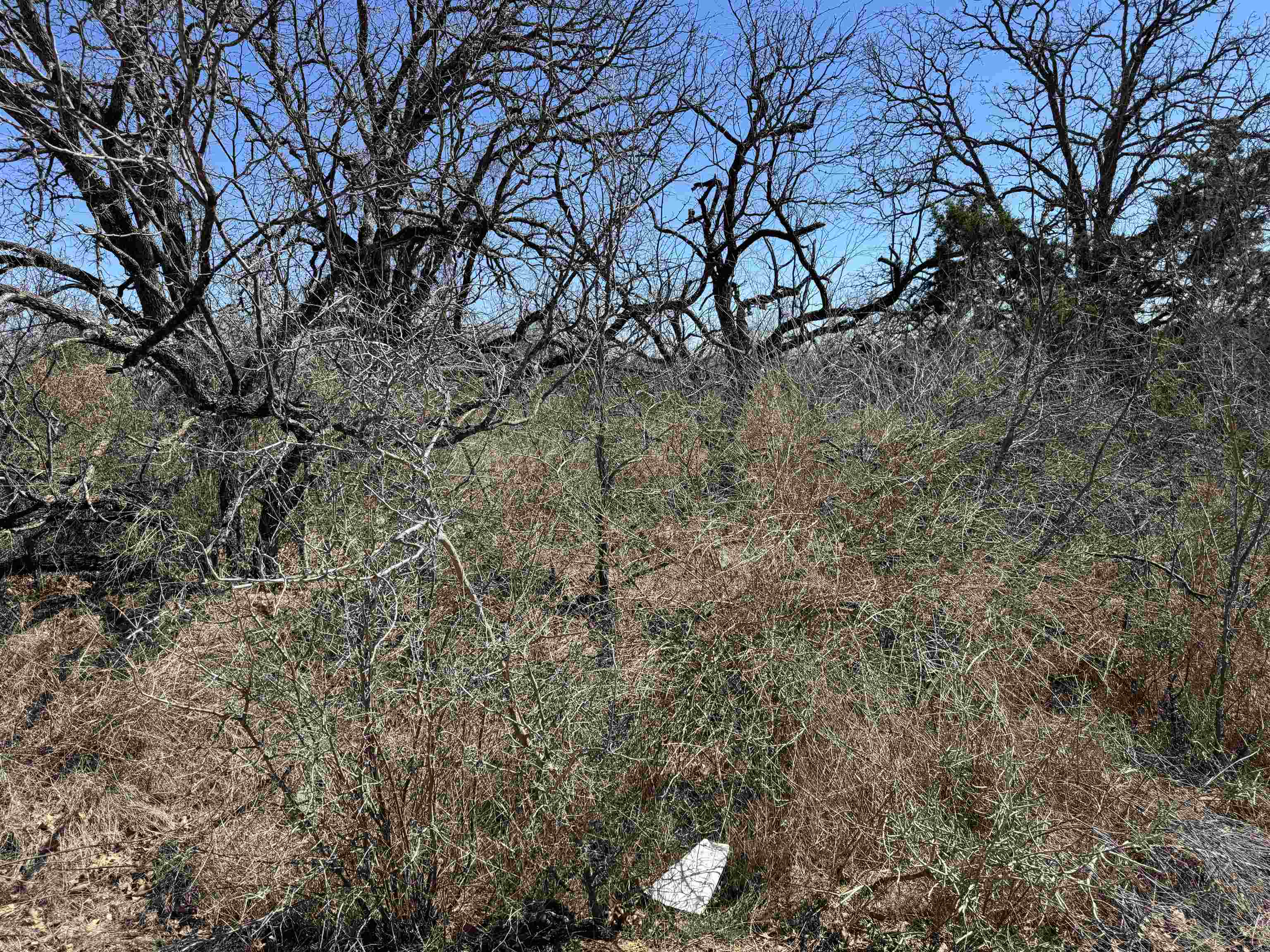 Lot 103 Ridgemont Kingsland, TX 78639 - Photo 7 of 9 a backyard of a house with lots of green space