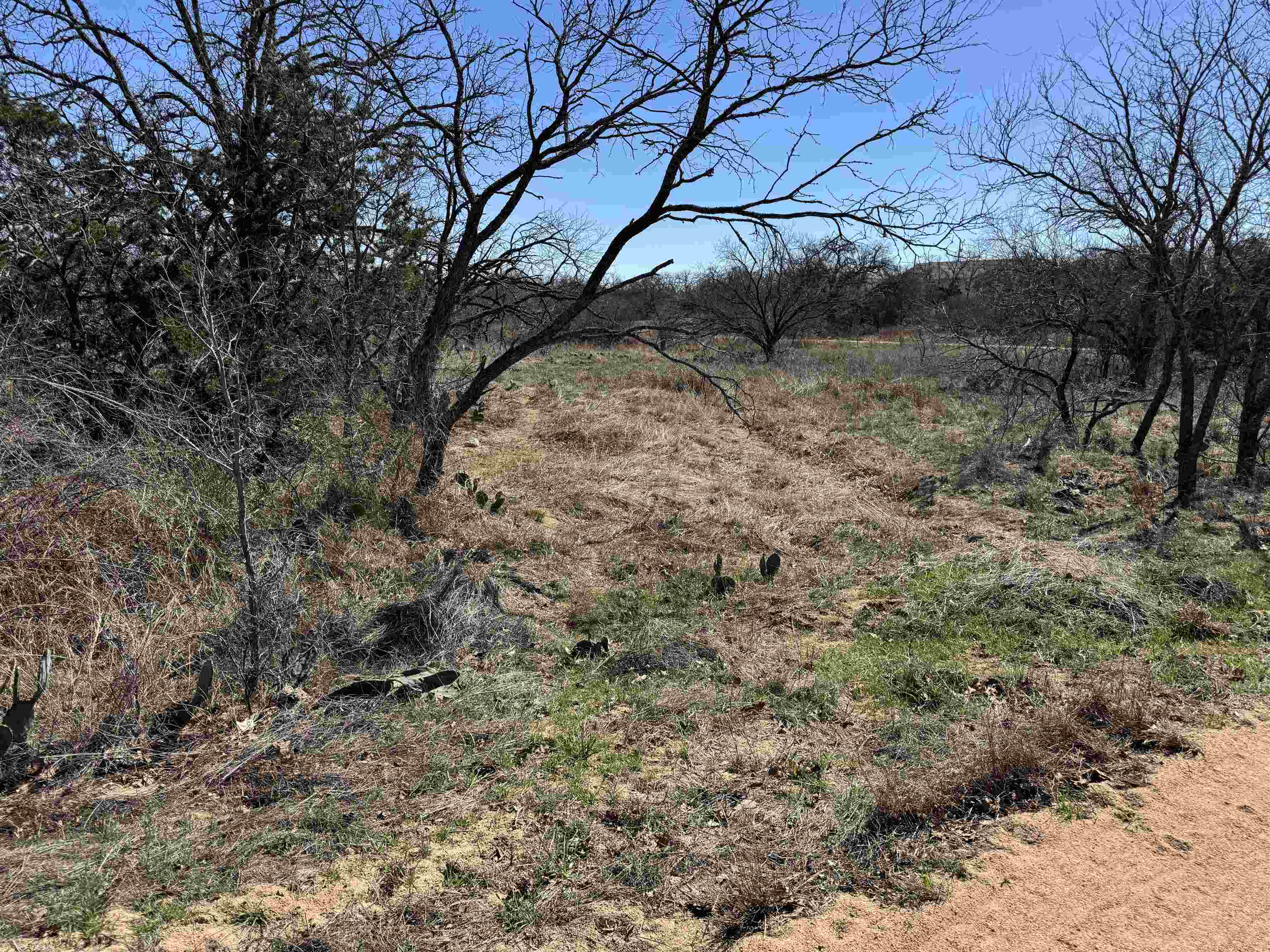 Lot 103 Ridgemont Kingsland, TX 78639 - Photo 8 of 9 a view of a yard