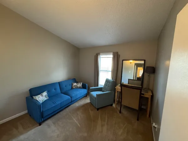 a living room with furniture and a potted plant