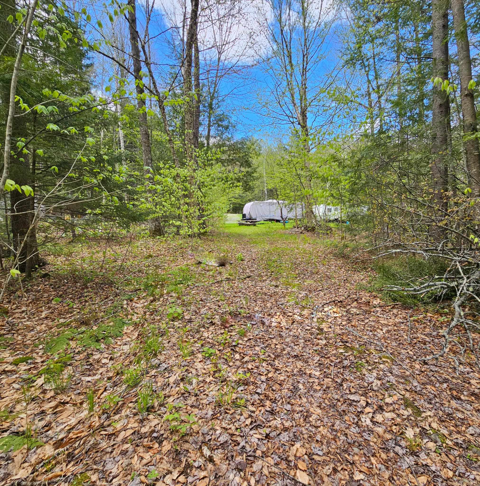 1175 Quarry Road Chester, VT 05143 - Photo 3 of 20