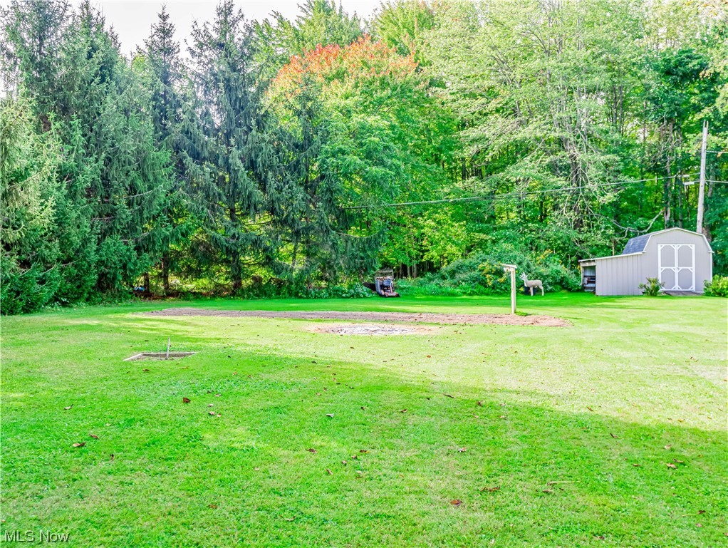 5200 Skinner Road Mantua, OH 44255 - Photo 21 of 23 View of yard featuring a storage unit
