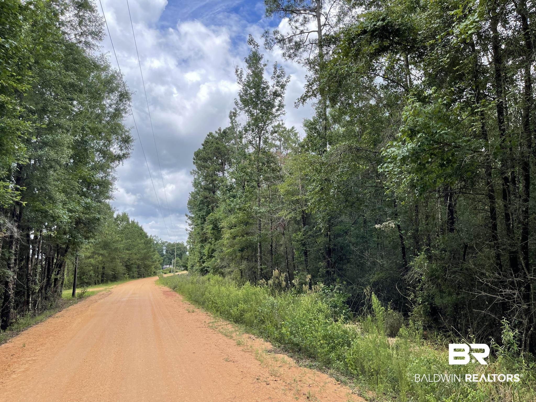 1 Friendship Road Flomaton, AL 36441 - Photo 10 of 13