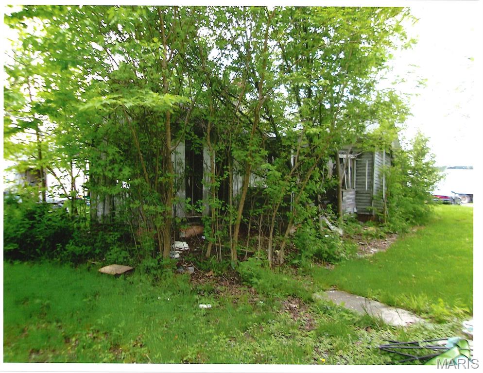 456 East 2595th Avenue Ramsey, IL 62080 - Photo 5 of 5