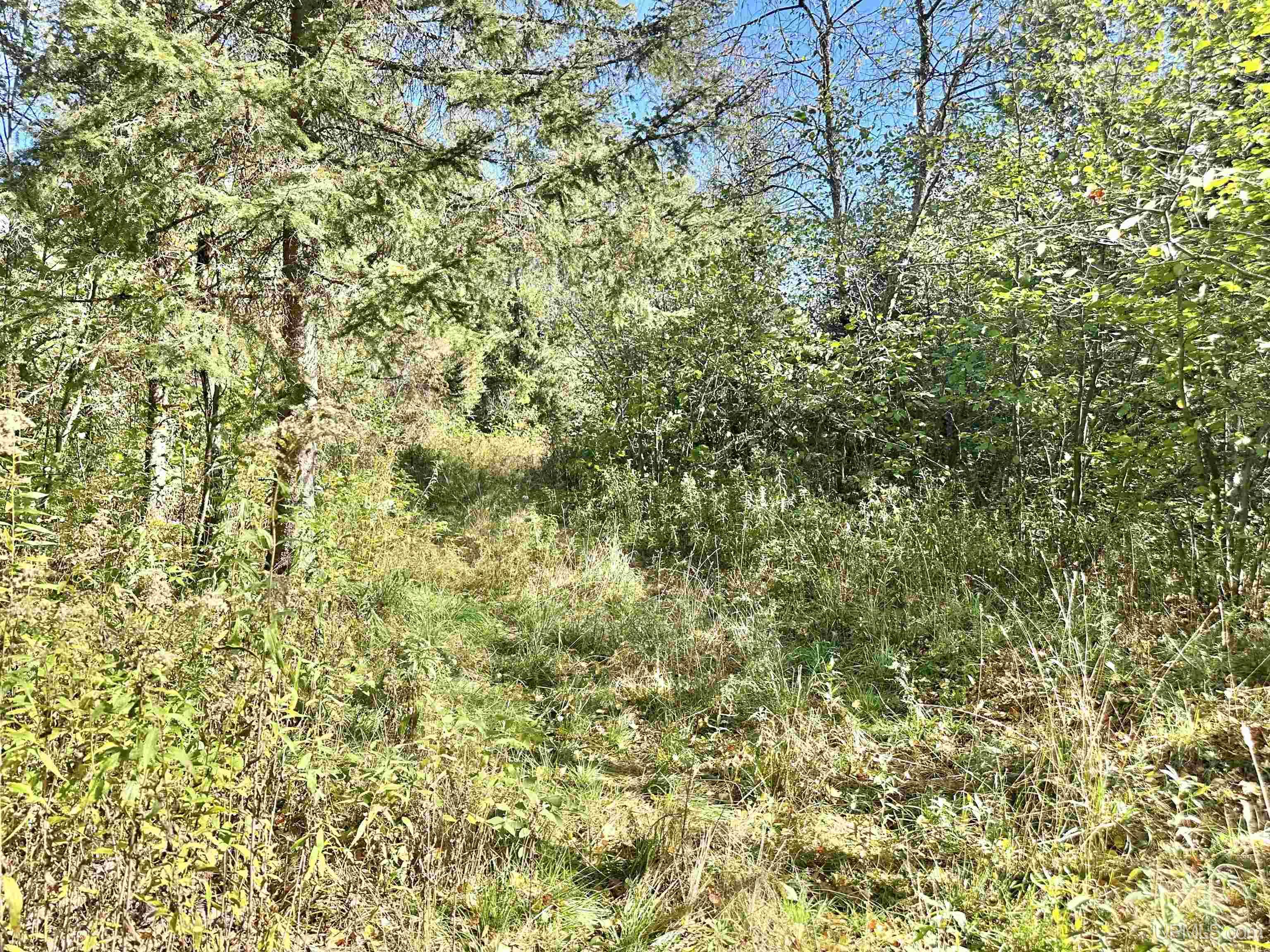Tbd South Johnson Road Bessemer, MI 49911 - Photo 27 of 29 Gallery Image 27