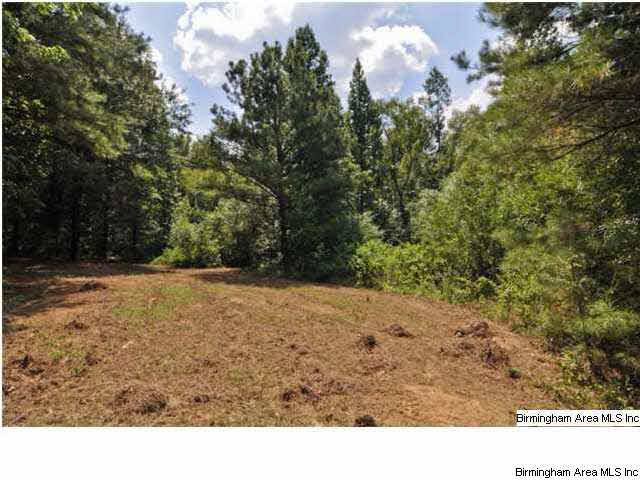 8442 Groundhog Road, Unit 225 AC Adger, AL 35006 - Photo 10 of 23