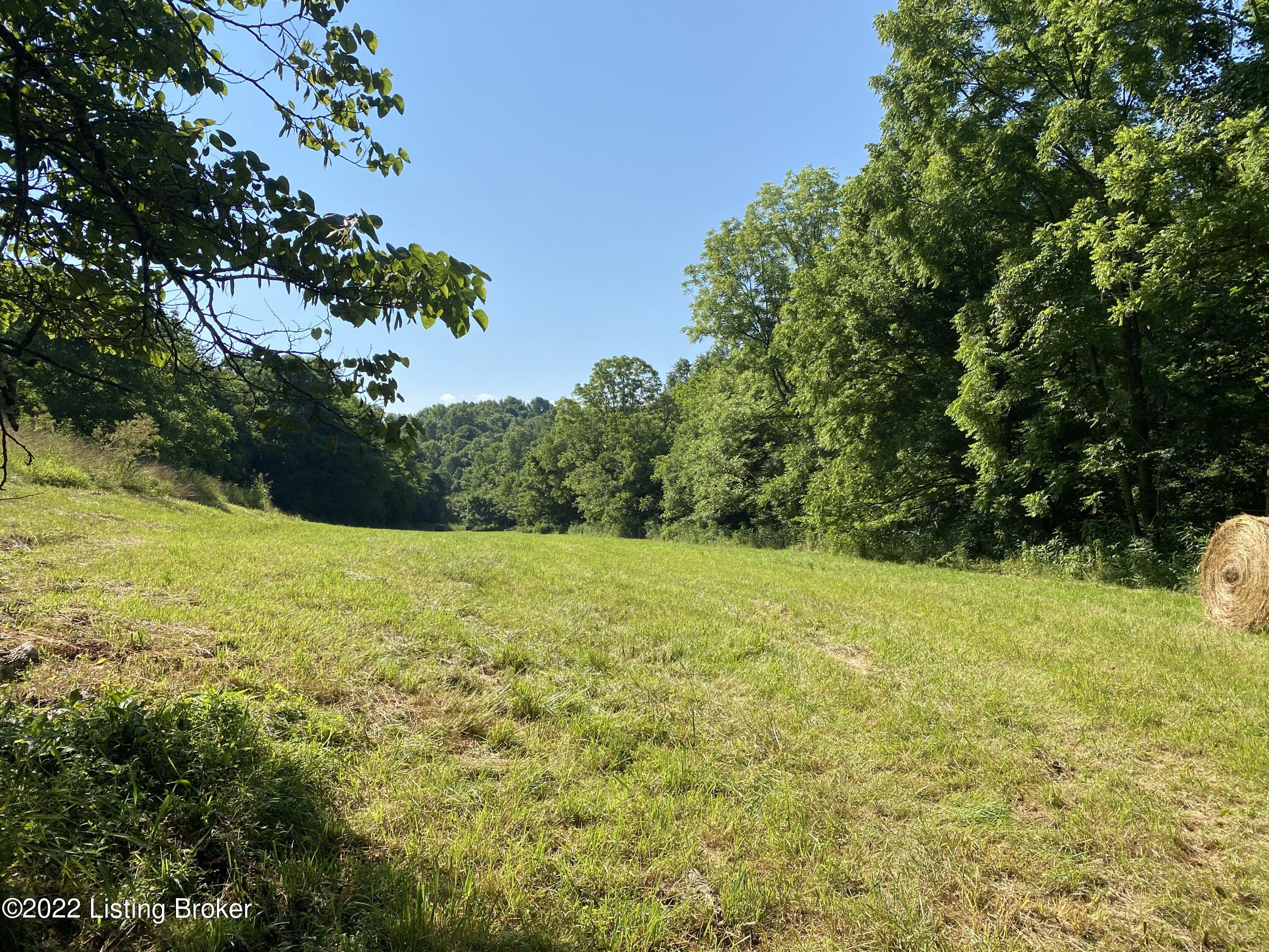 1795 Briar Ridge Road Mount Eden, KY 40046 - Photo 17 of 59 IMG_4506