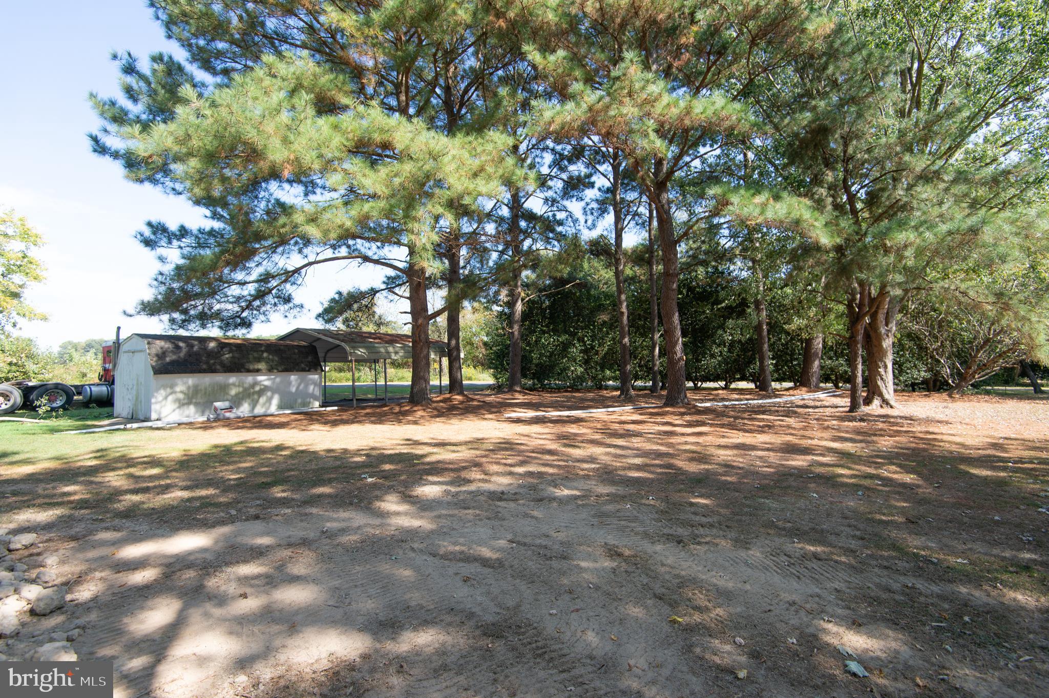 5153 Paw Paw Road Cambridge, MD 21613 - Photo 26 of 26 Rear Yard