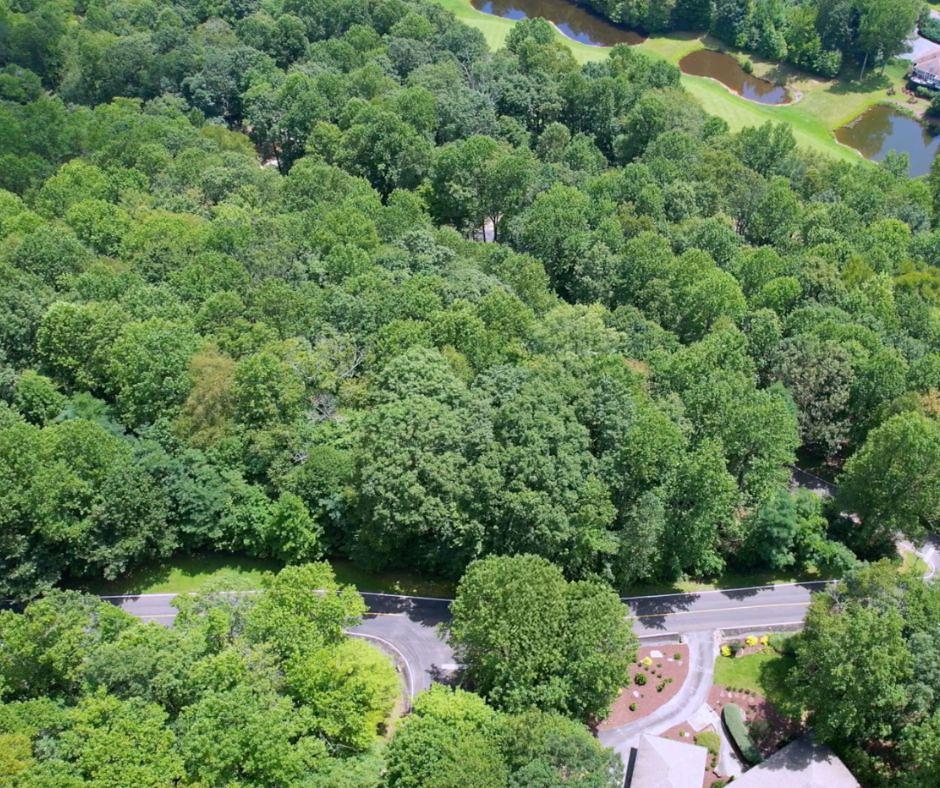 41 Snap Dragon Way Landrum, SC 29356 - Photo 3 of 6