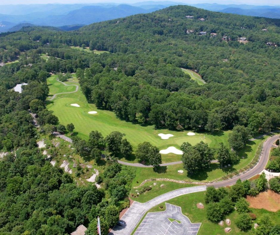 41 Snap Dragon Way Landrum, SC 29356 - Photo 4 of 6