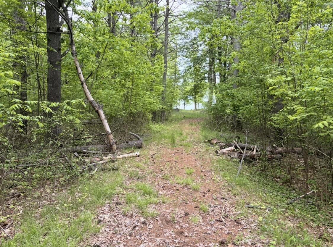 76 Neck Road South China, ME 04358 - Photo 6 of 15