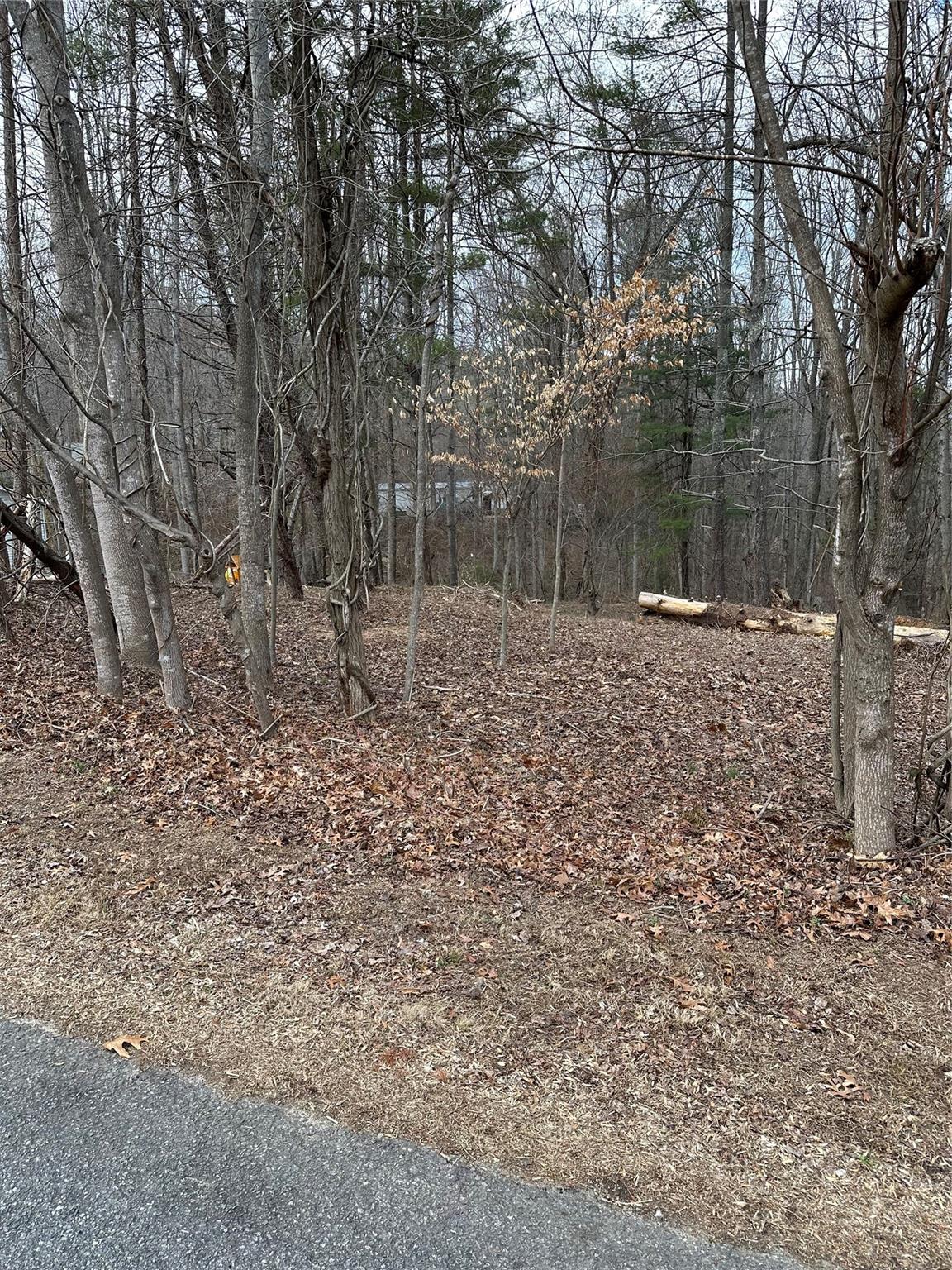 21 Shelby Road Asheville, NC 28806 - Photo 2 of 6 a backyard of a house with lots of green space