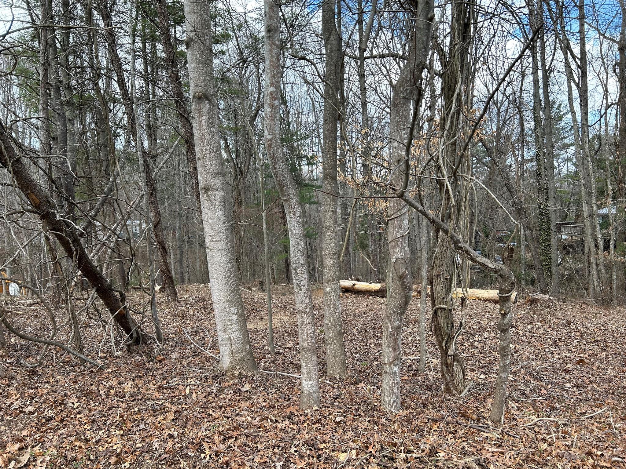 21 Shelby Road Asheville, NC 28806 - Photo 5 of 6 a backyard of a house with lots of green space