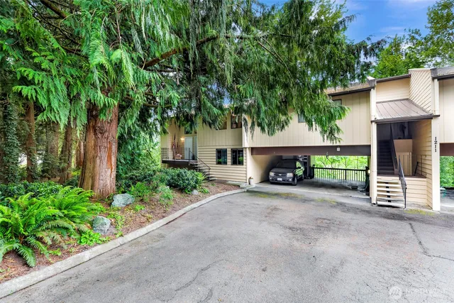 a view of a backyard with garden