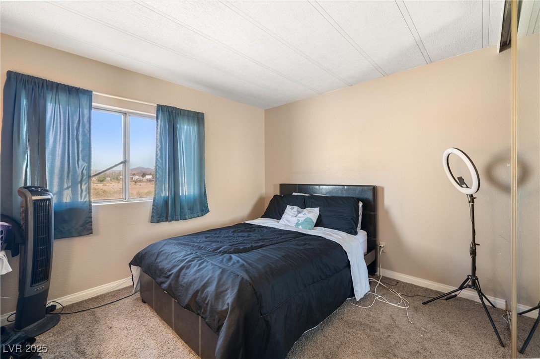 3581 West Dyer Road Pahrump, NV 89048 - Photo 19 of 31 Carpeted bedroom with baseboards