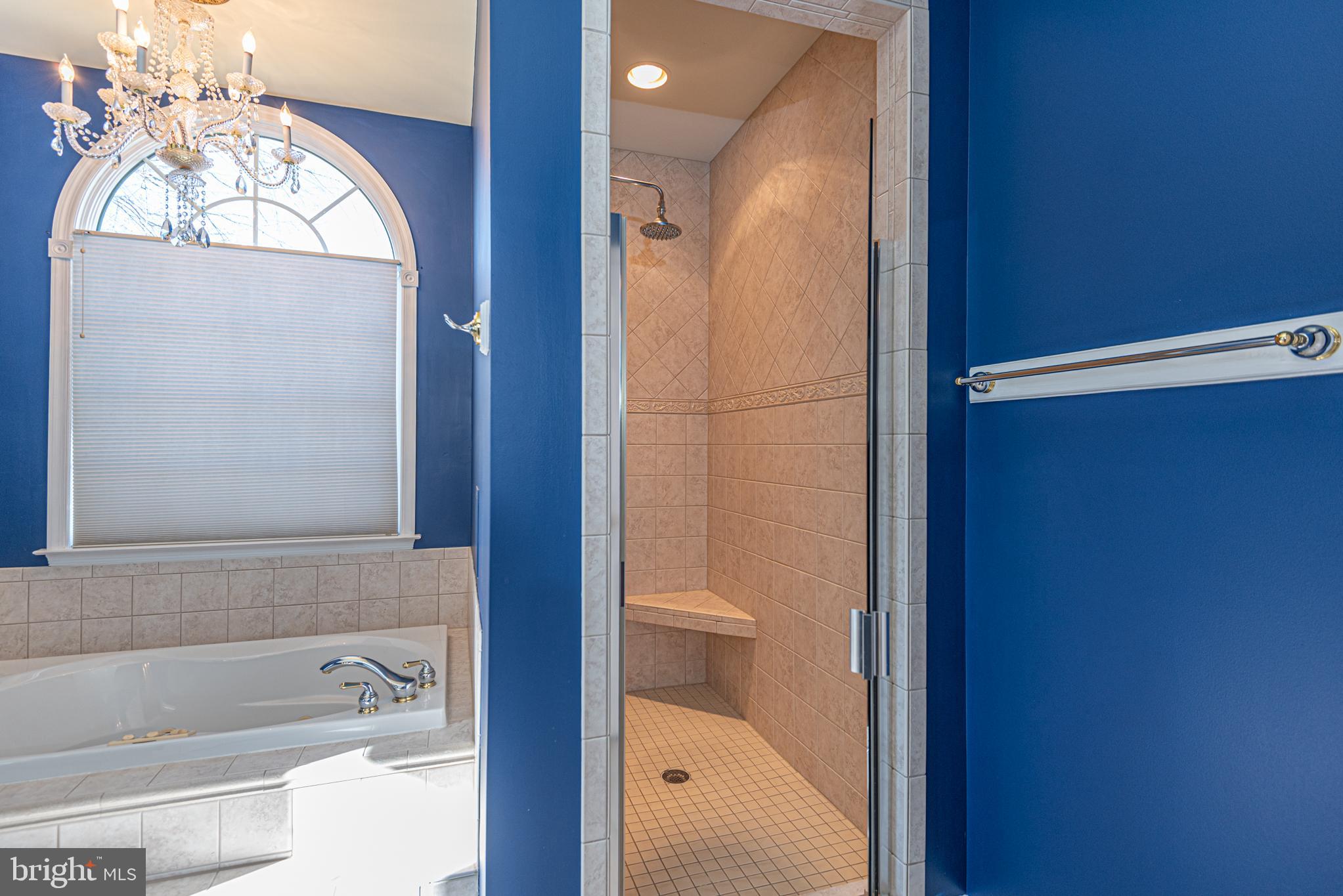 6023 Tarry Town Road Salisbury, MD 21801 - Photo 20 of 61 Elegant bathroom with modern shower design.