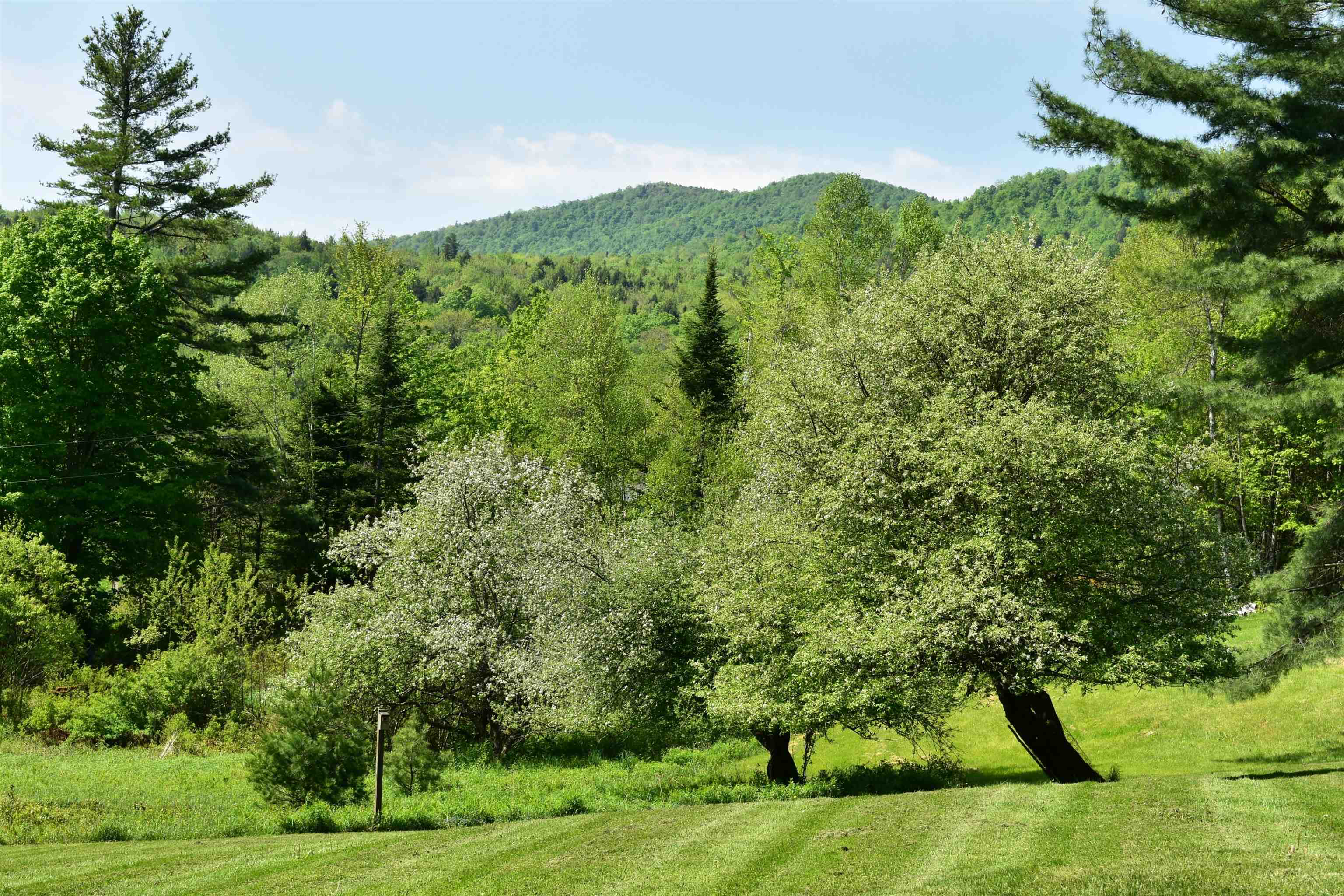 60 Hampshire Hill Road Worcester, VT 05682 - Photo 3 of 39