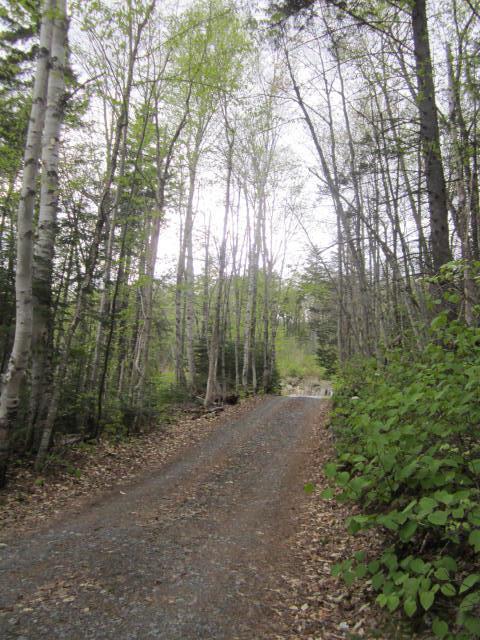 1 Pine Road Sandy River Plt, ME 04970 - Photo 17 of 21 Photo