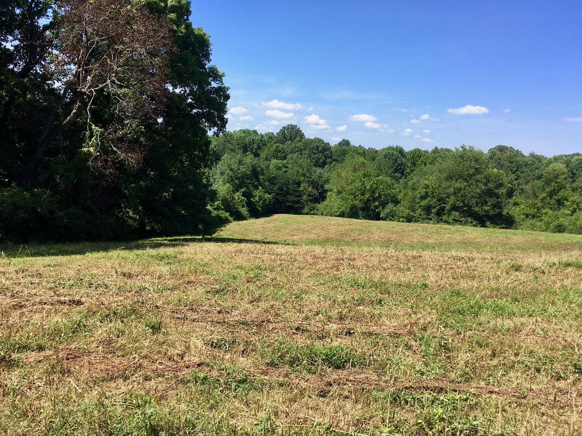 1160 Petty Road White Bluff, TN 37187 - Photo 1 of 19 Fenced pasture perfect for horses or livestock