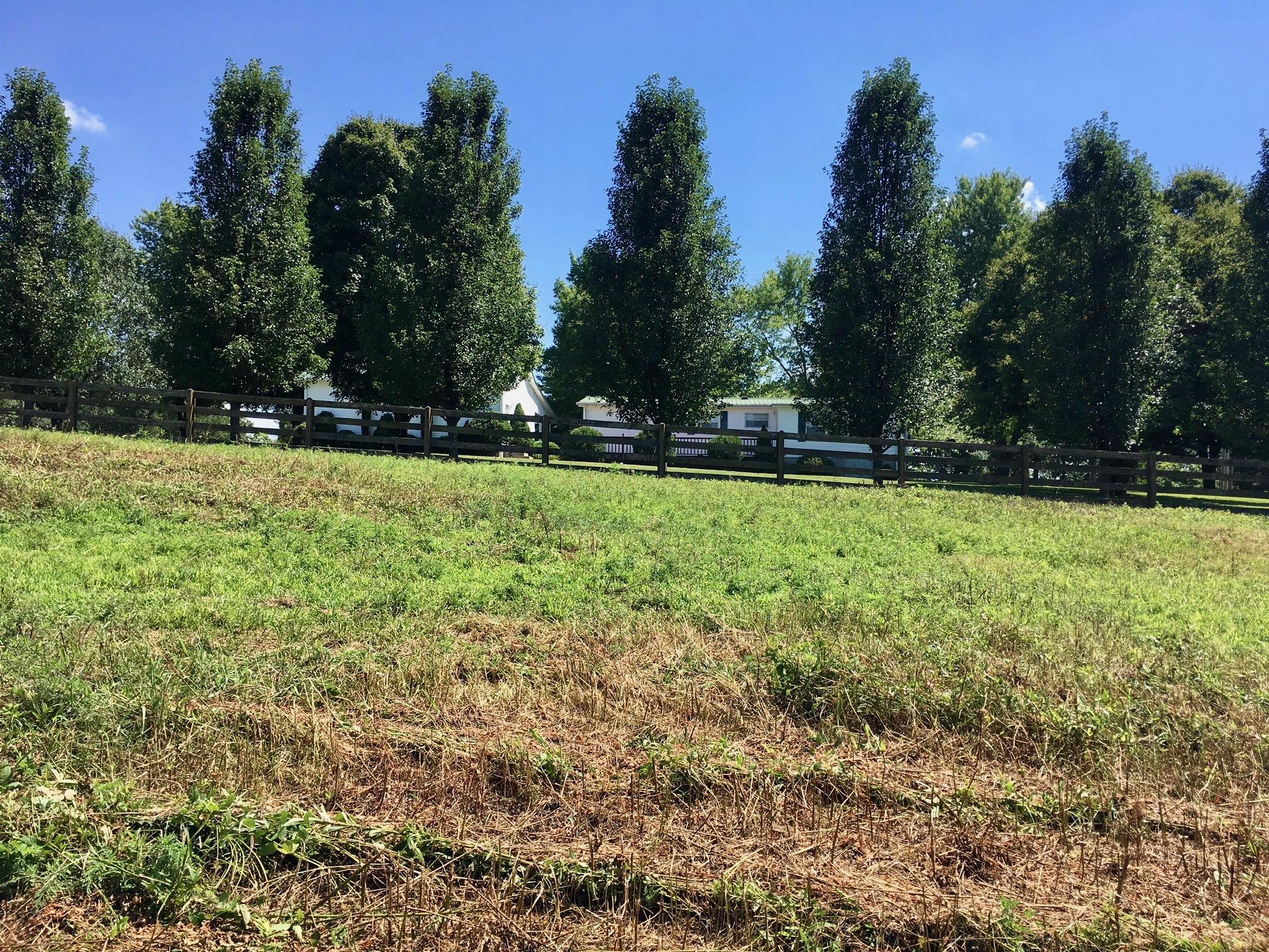 1160 Petty Road White Bluff, TN 37187 - Photo 2 of 19 Gallery Image 2