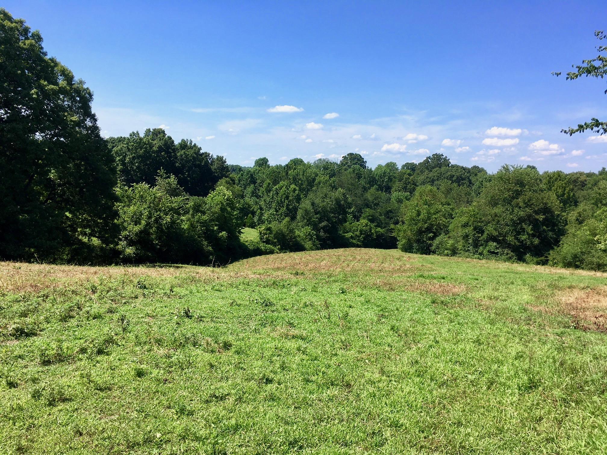 1160 Petty Road White Bluff, TN 37187 - Photo 3 of 19 Gallery Image 3