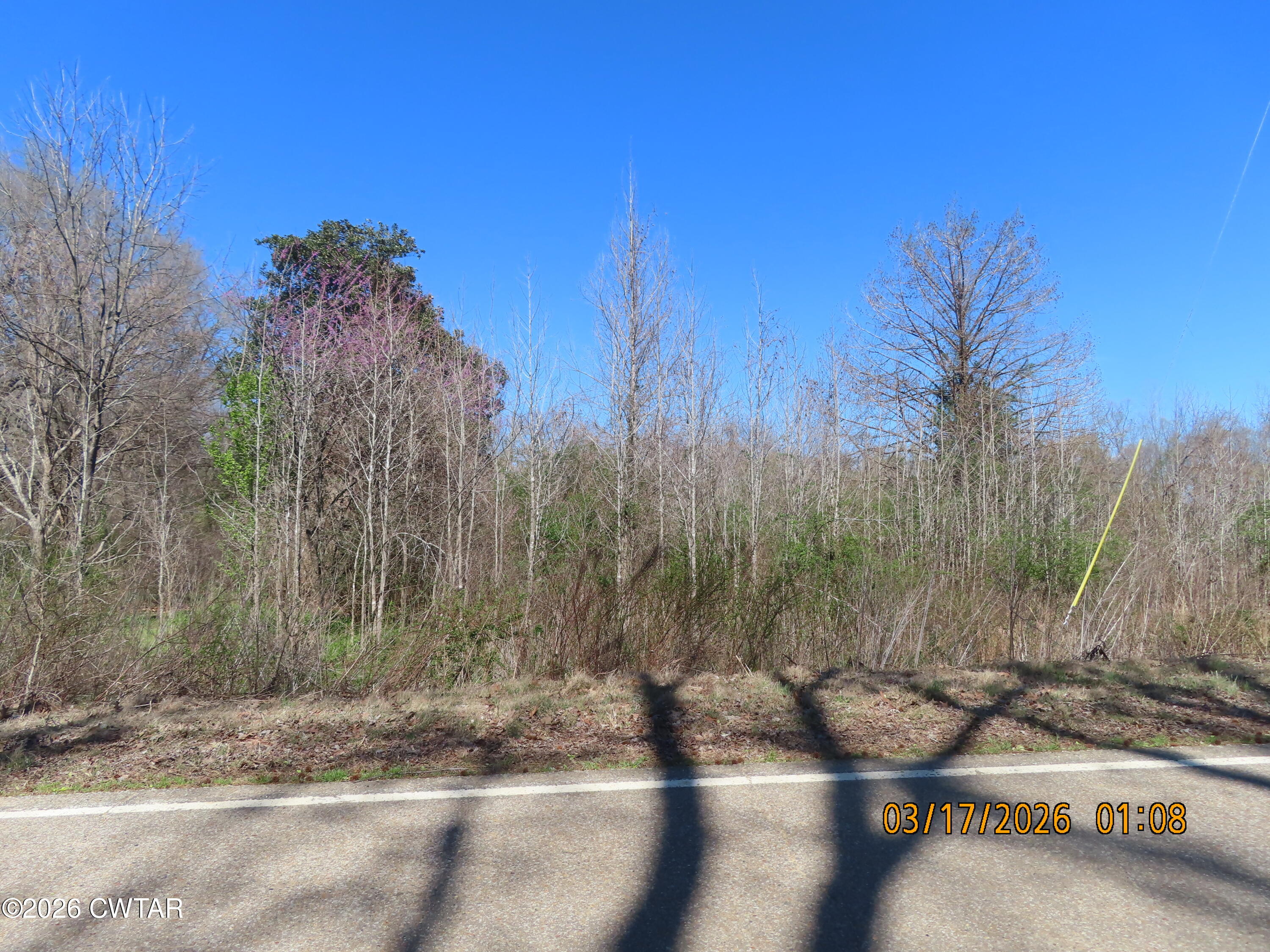 2059 Westover Road Jackson, TN 38301 - Photo 17 of 17 IMG_4794