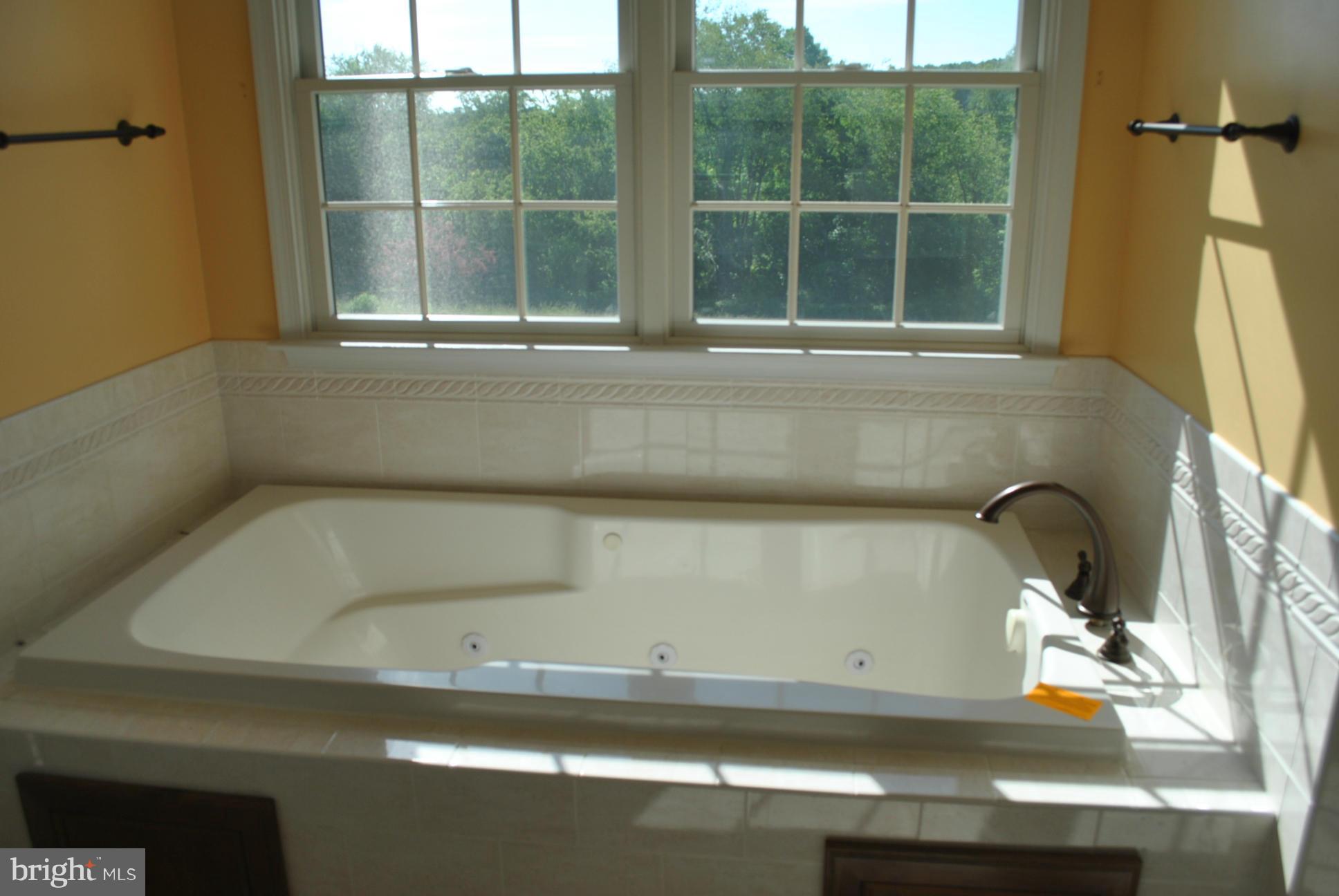 573 Houck Road Westminster, MD 21157 - Photo 22 of 30 Bath (Master)
