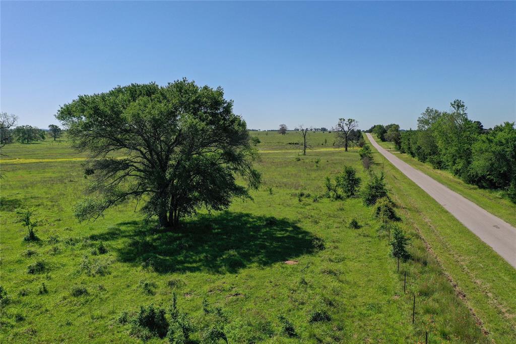 0 County Road 2421 Mabank, TX 75156 - Photo 13 of 29 a view of a garden with a building in the background
