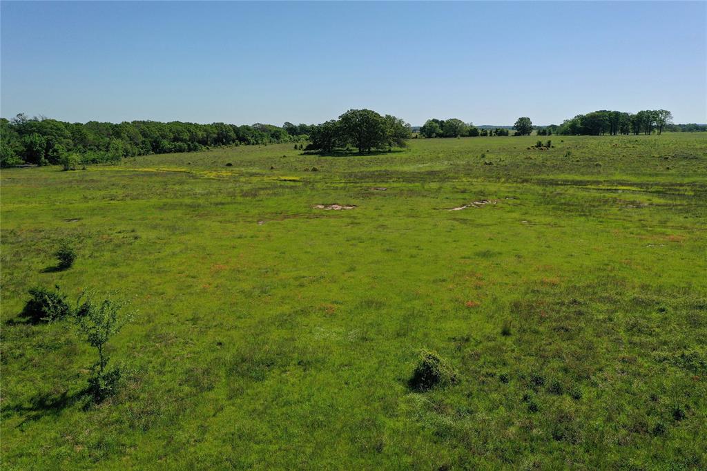 0 County Road 2421 Mabank, TX 75156 - Photo 15 of 29 a view of an ocean from a yard