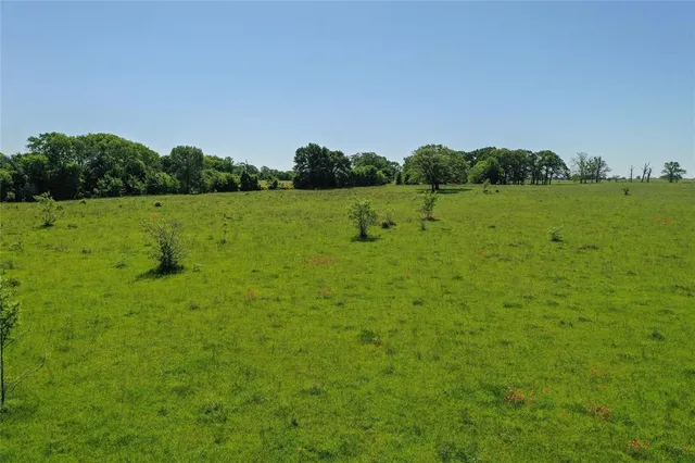 a view of a green field with lots of trees in the background
