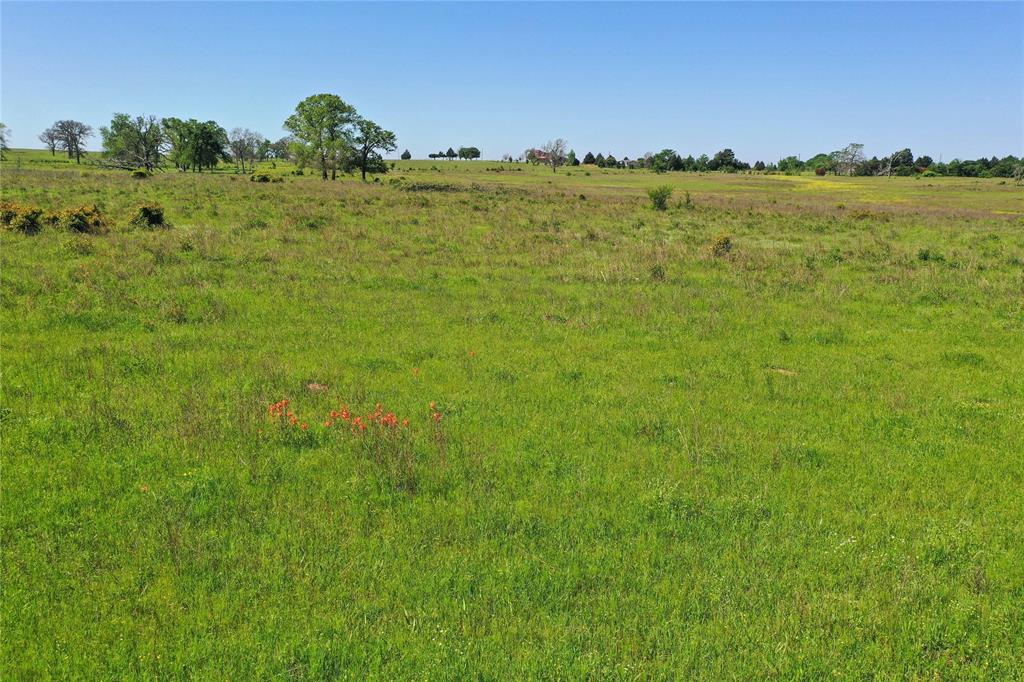 0 County Road 2421 Mabank, TX 75156 - Photo 27 of 29 a view of a lake and a building