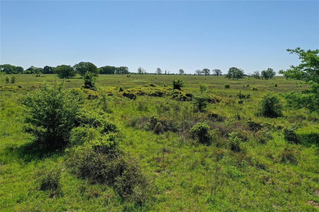 0 County Road 2421 Mabank, TX 75156 - Photo 29 of 29 a view of a big yard with lots of palm trees