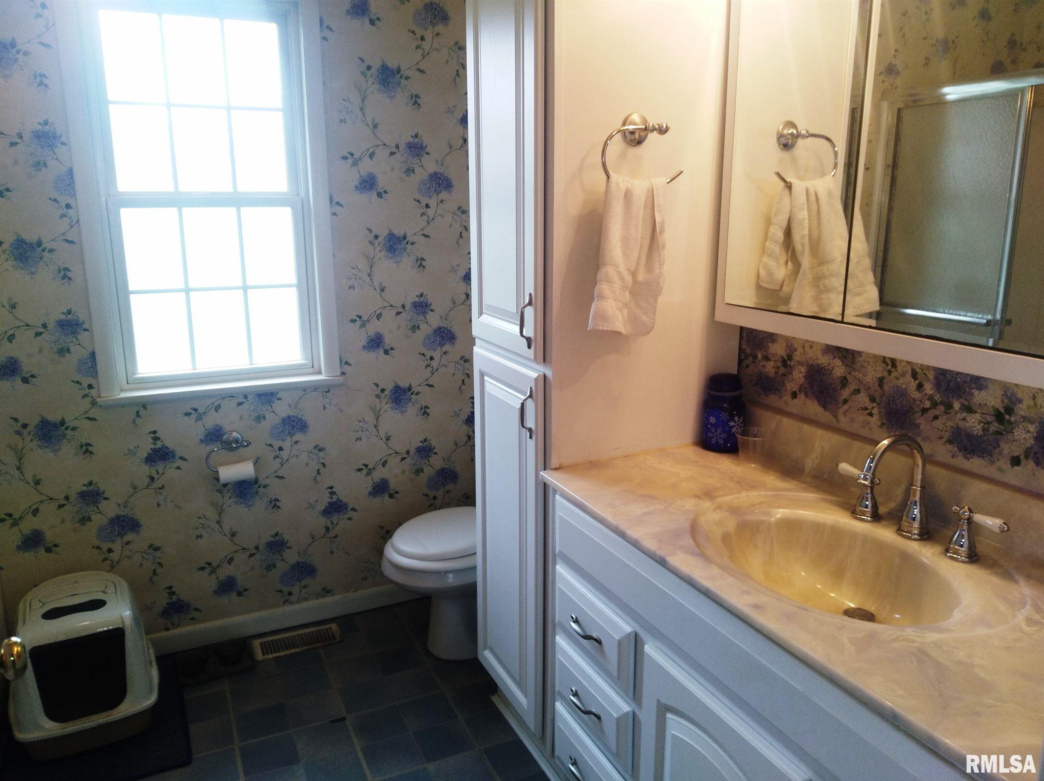 27917 Concord Road Palmyra, IL 62674 - Photo 18 of 50