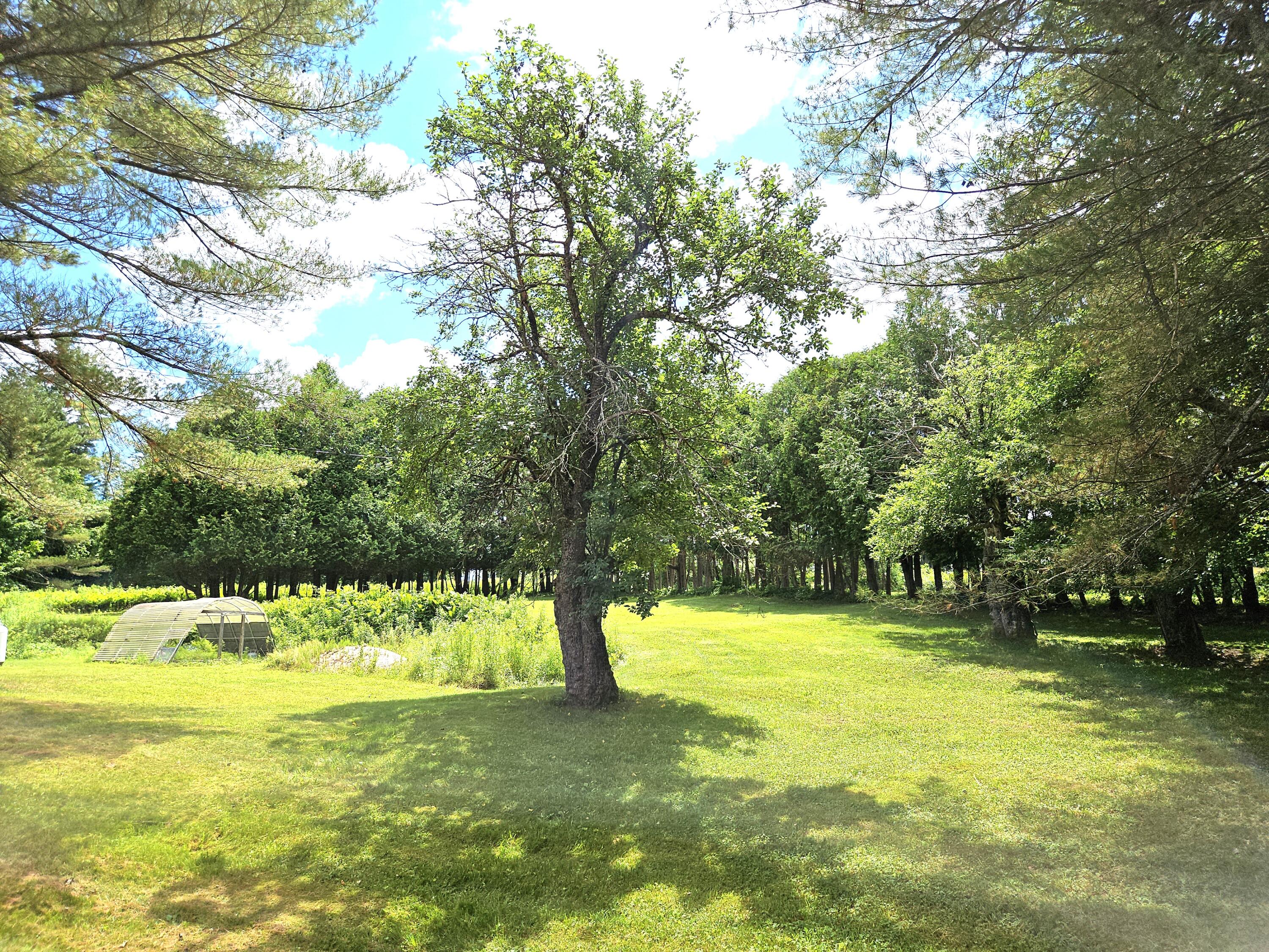 260 N Road Leeds, ME 04263 - Photo 13 of 66 20240624_131429