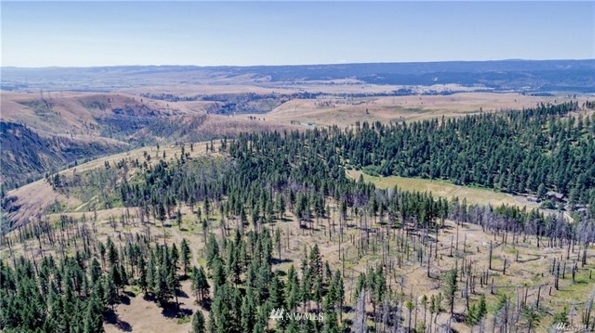 2090 Emerick Road Cle Elum, WA 98922 - Photo 1 of 9 Gallery Image 1