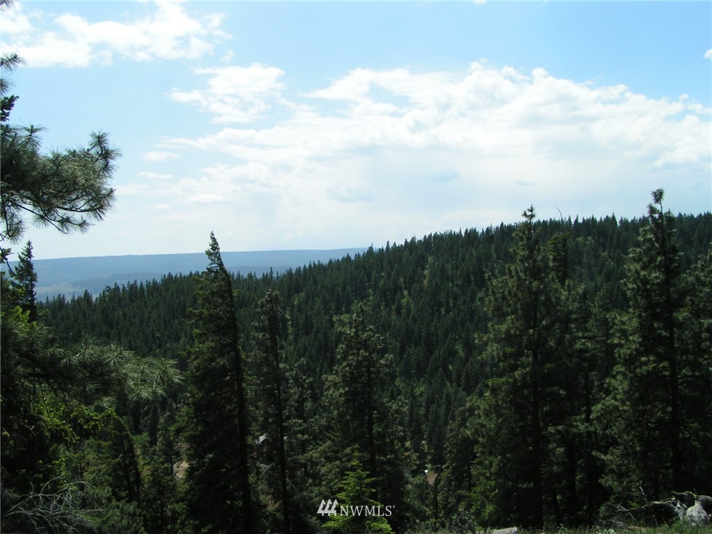 2090 Emerick Road Cle Elum, WA 98922 - Photo 4 of 9 Gallery Image 4