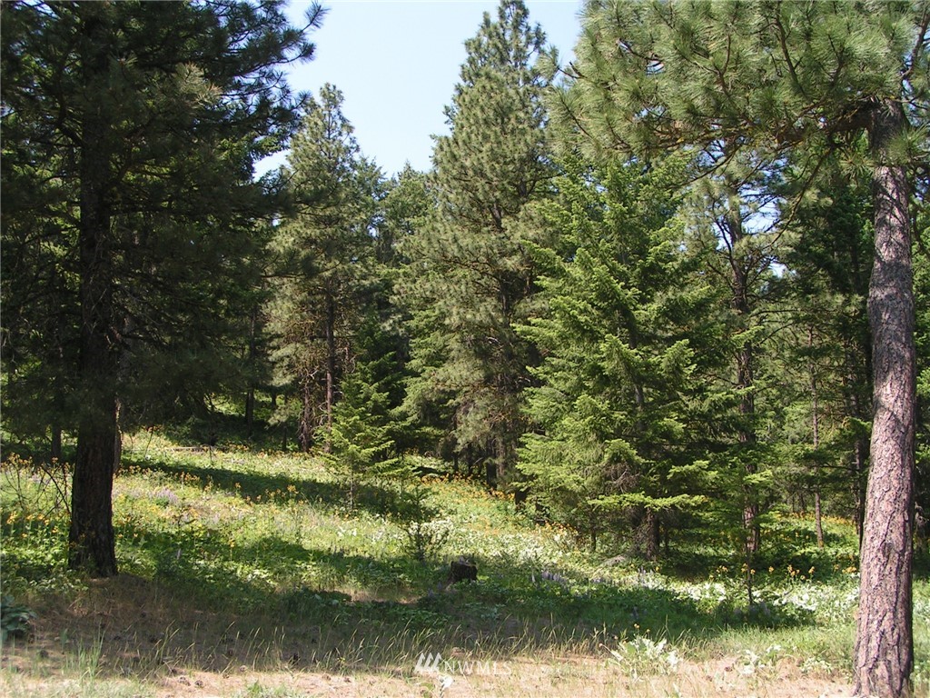 2090 Emerick Road Cle Elum, WA 98922 - Photo 9 of 9 Gallery Image 9