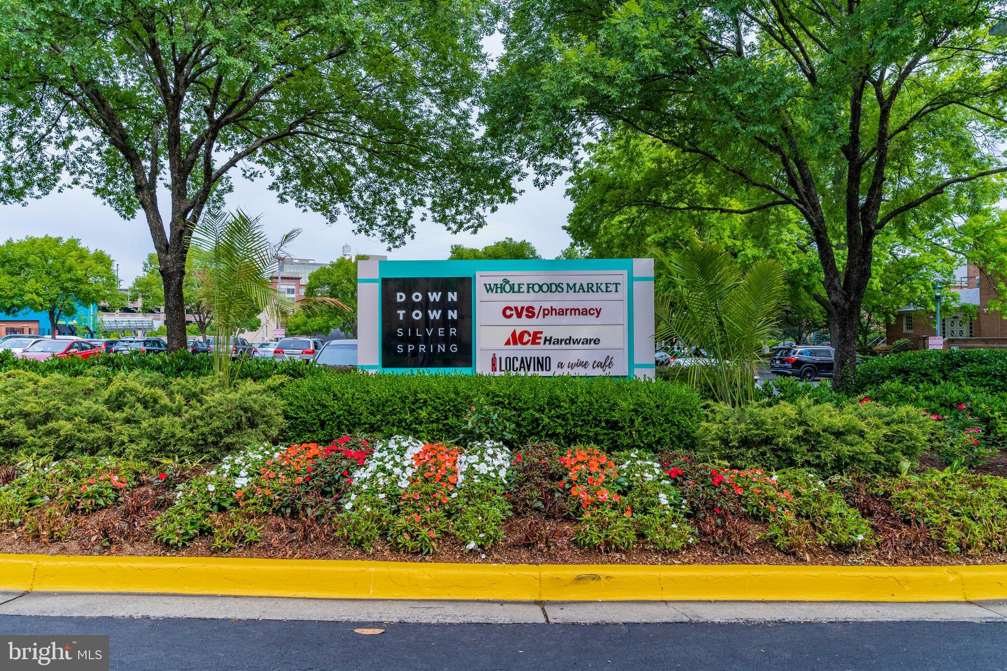 1320 Fenwick Lane, Unit 304 Silver Spring, MD 20910 - Photo 19 of 64