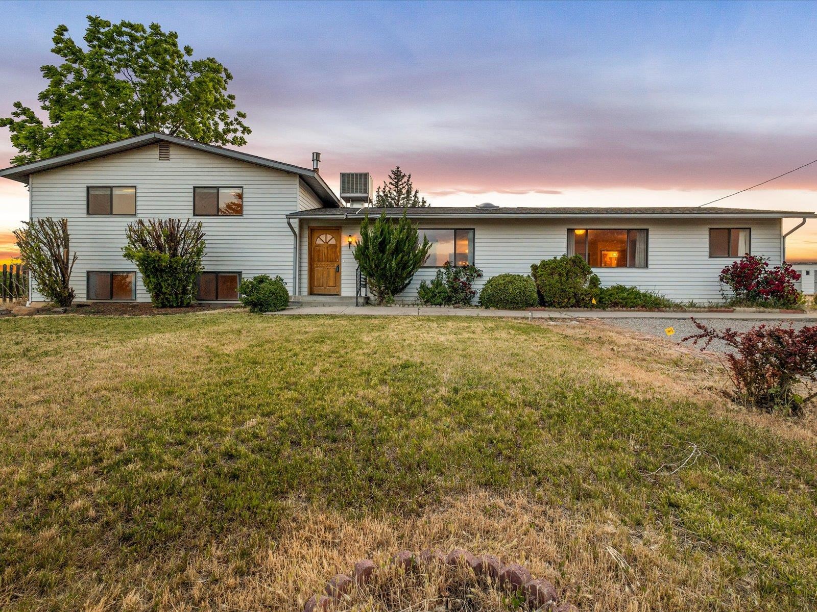 a view of a yard in front of a house with a yard