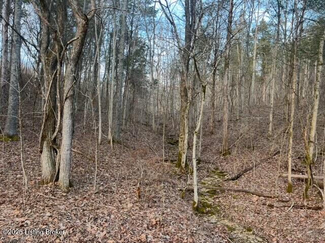1008 Pattons Creek Road Pendleton, KY 40055 - Photo 25 of 40 1008 Patton Creek Rd