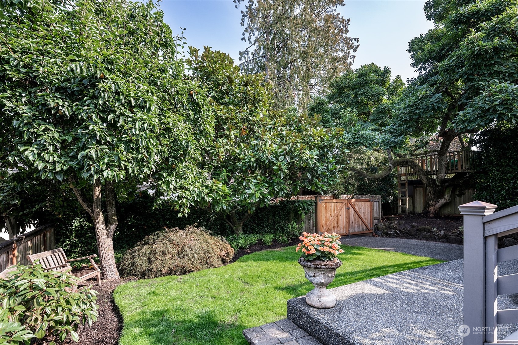 1206 37th Avenue East Seattle, WA 98112 - Photo 15 of 34 a view of a garden with plants