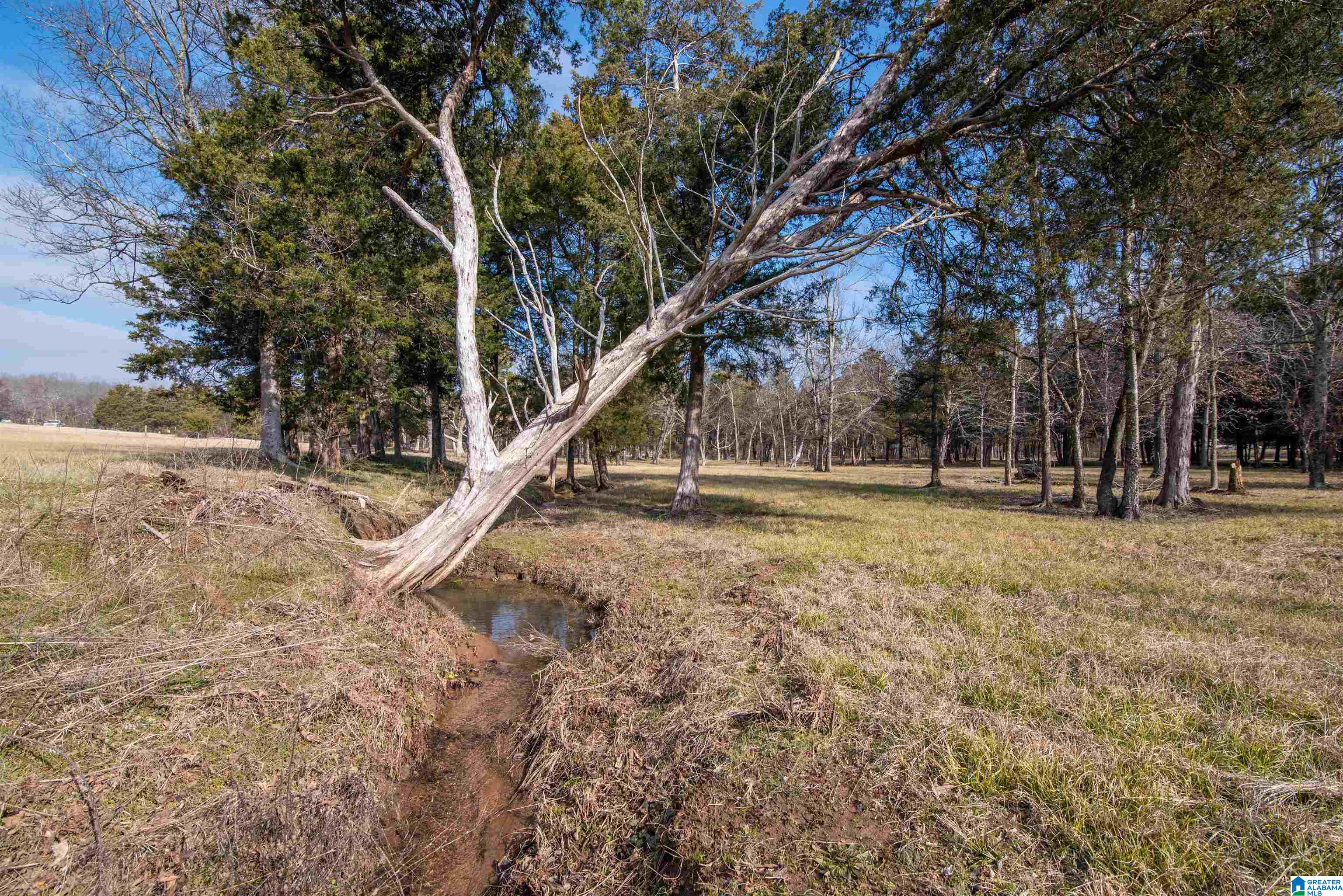 0 Day Drive, Unit 10 Somerville, AL 35670 - Photo 14 of 16