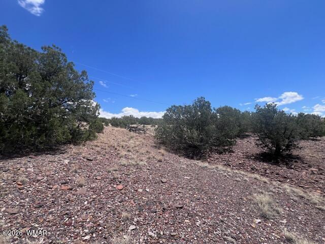 41 Indian Drive Concho, AZ 85924 - Photo 12 of 26 IMG_3677