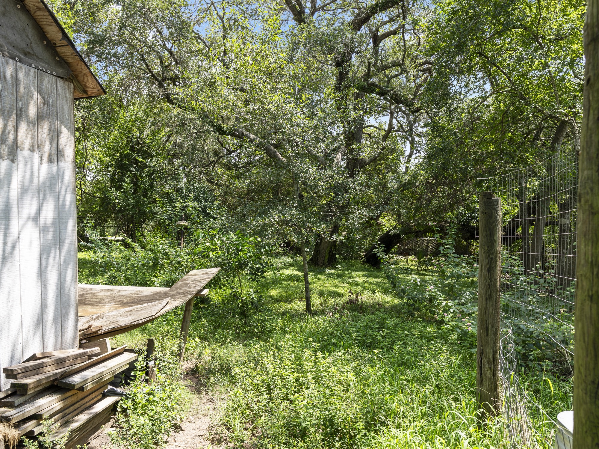 334 Old River Road North Palacios, TX 77465 - Photo 12 of 15 a view of yard from deck