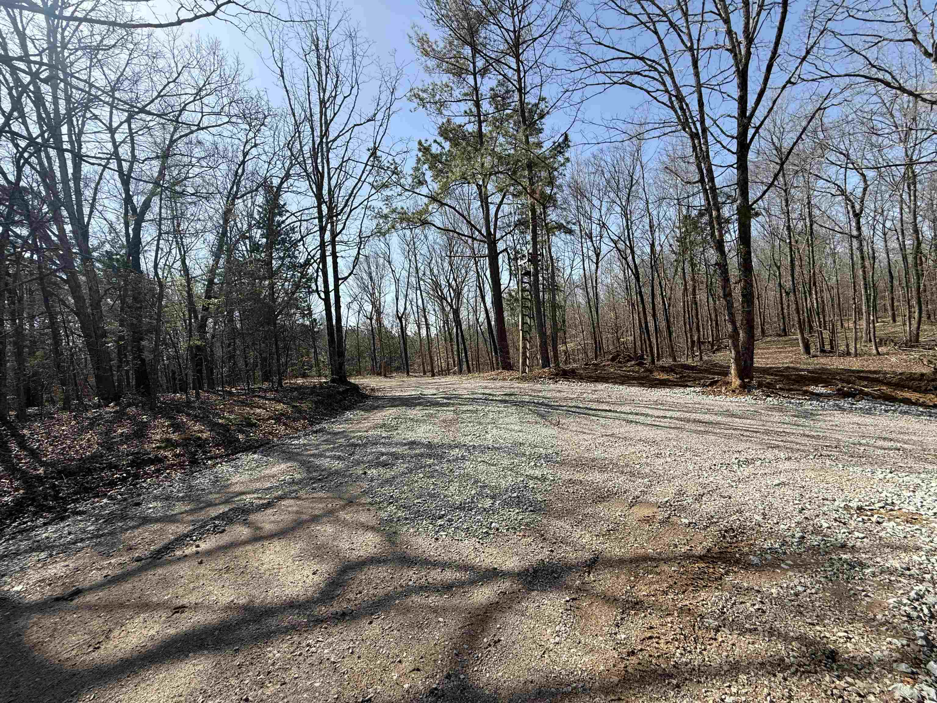 0 100th Highway Toone, TN 38381 - Photo 11 of 19 a view of house with a yard