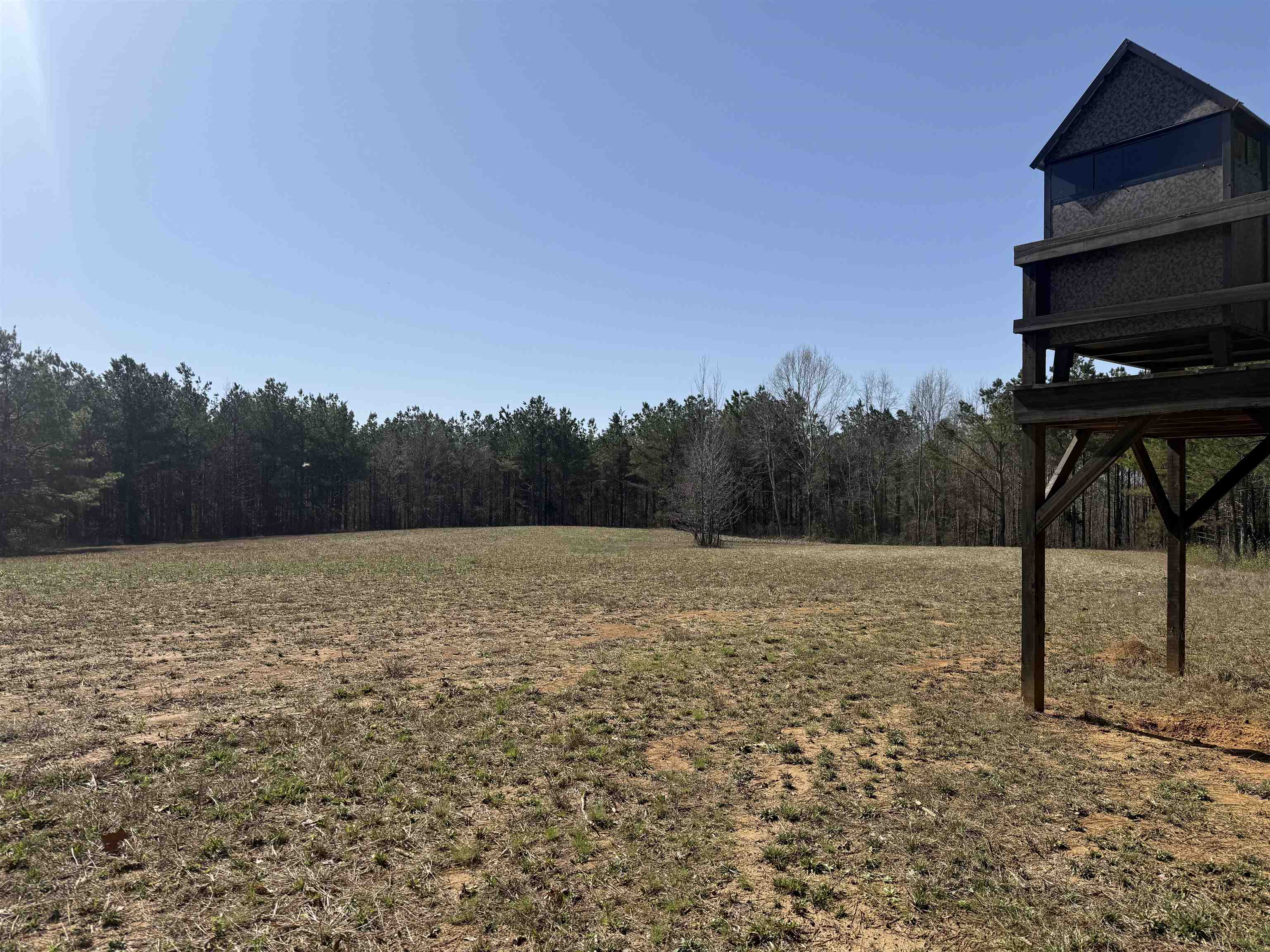 0 100th Highway Toone, TN 38381 - Photo 13 of 19 a view of a yard