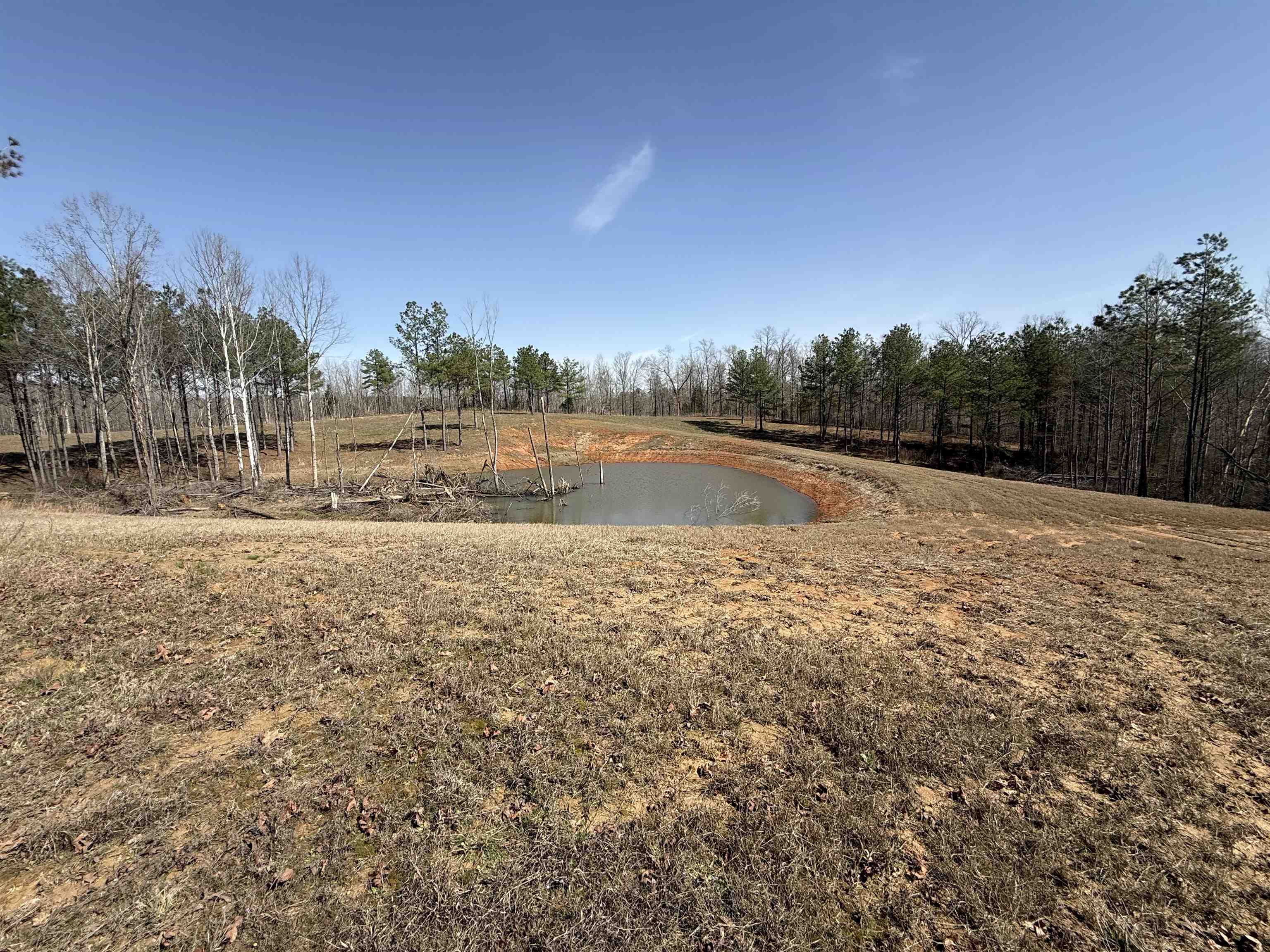 0 100th Highway Toone, TN 38381 - Photo 14 of 19 a view of swimming pool with a yard