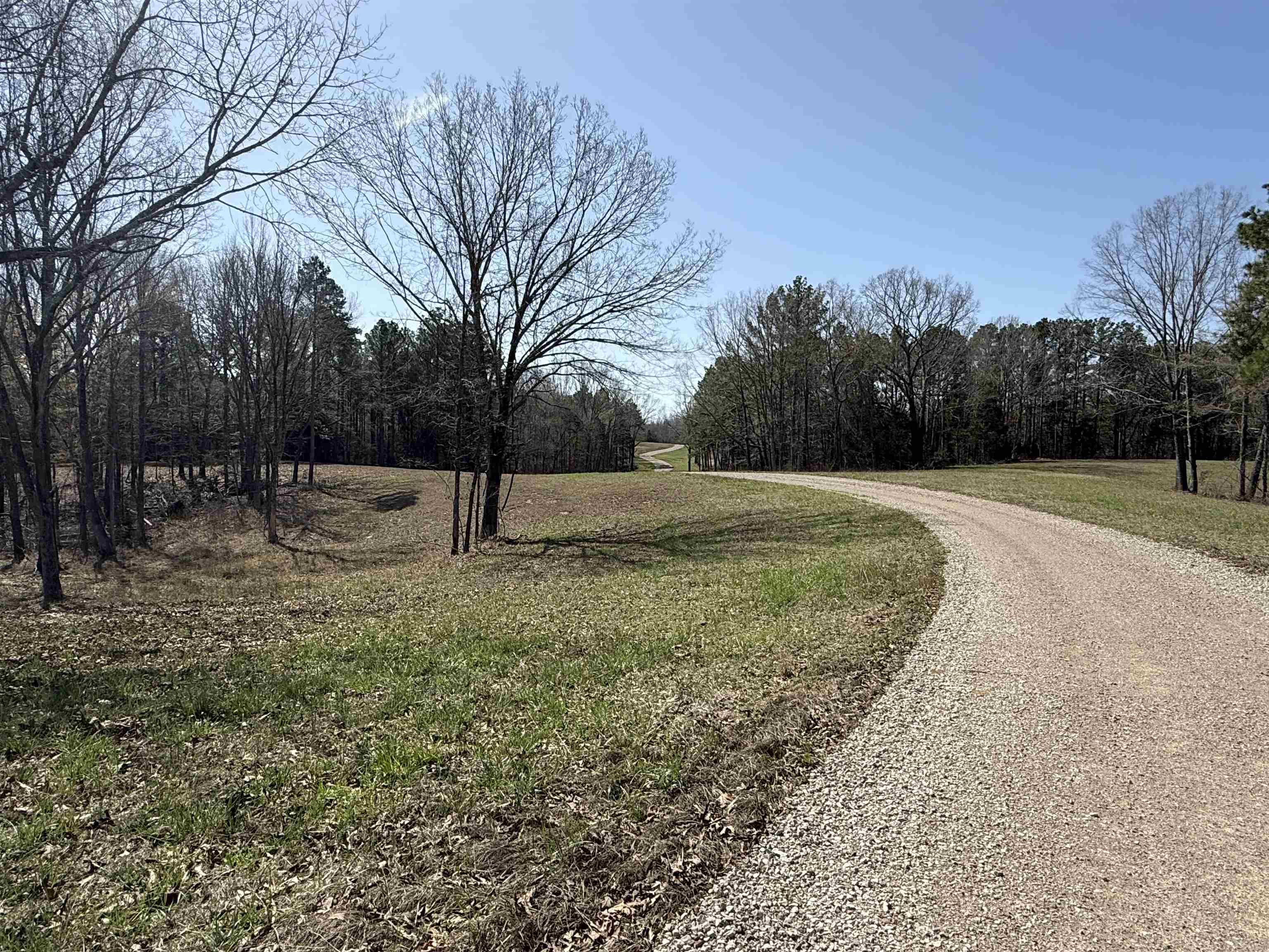 0 100th Highway Toone, TN 38381 - Photo 15 of 19 a view of backyard with green space